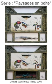 Série Paysages en boîte